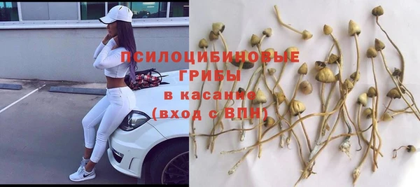 Альфа ПВП Богородск