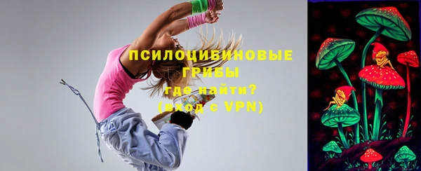 бошки Богданович