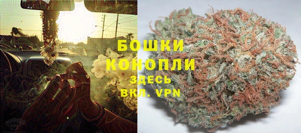 бошки Богданович