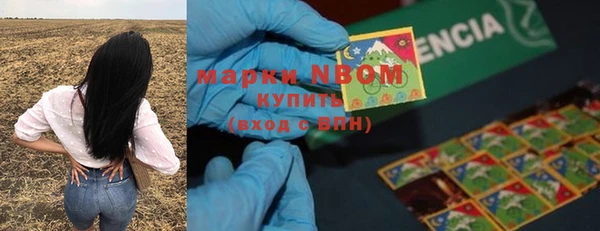 Альфа ПВП Богородск